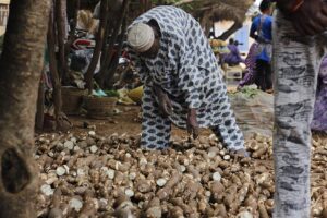 Socio economic perspectives