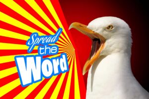 Advertising Strategy Advertising strategy