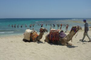 Tourists on Egypt’s Red Sea coast. Photo: Marek Pili, Wikimedia Commons